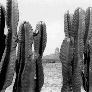 Afrique Fantôme n°06