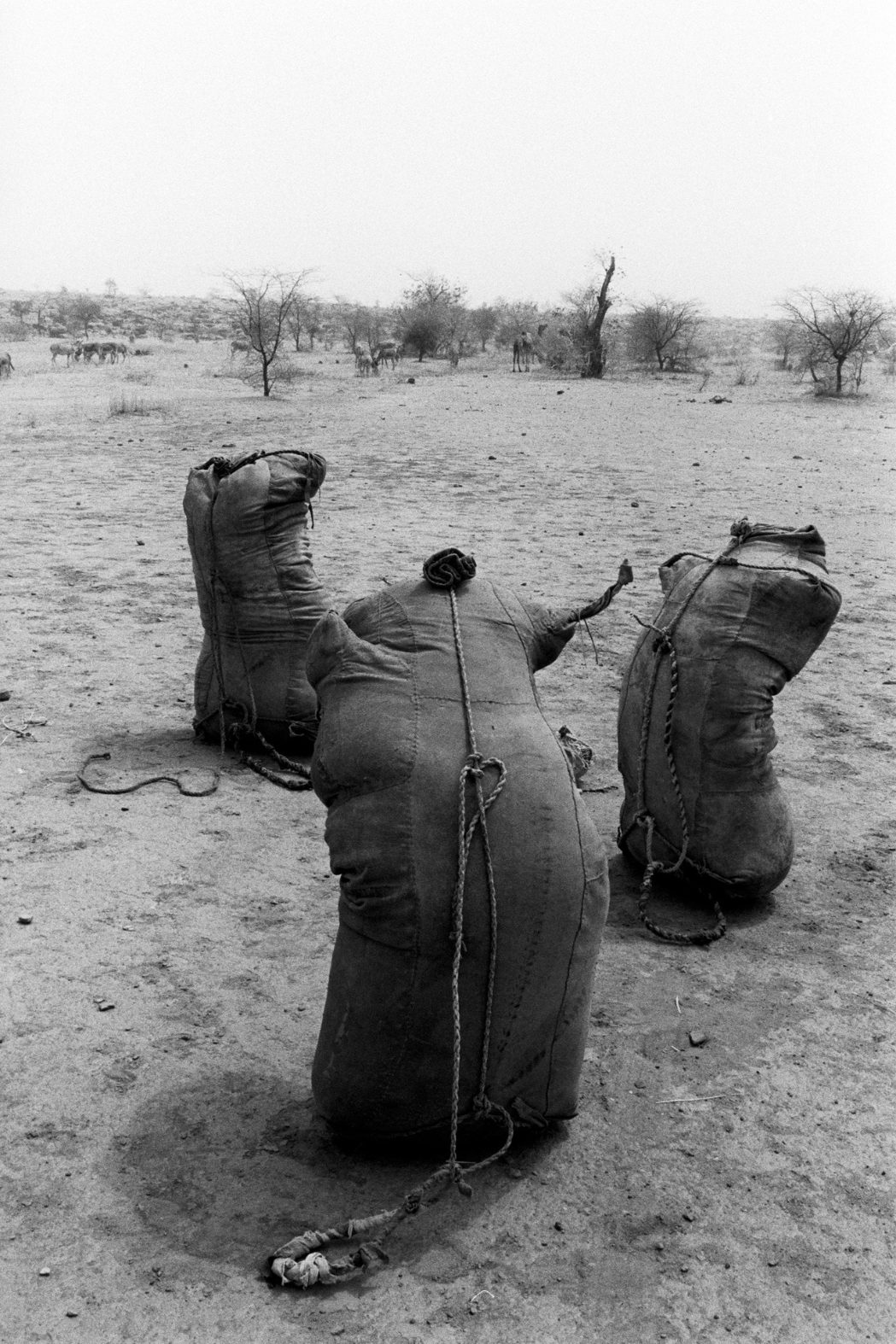 Afrique Fantôme n°09