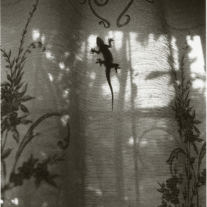 Afrique Fantôme n°11