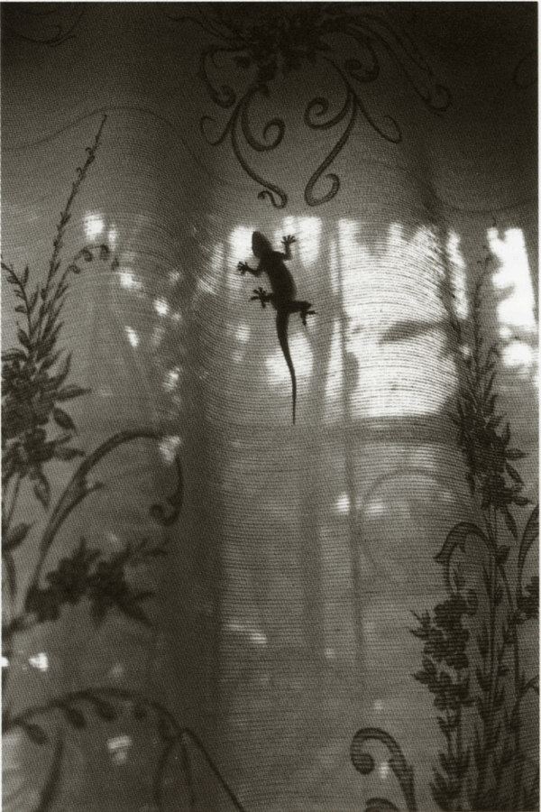 Afrique Fantôme n°11