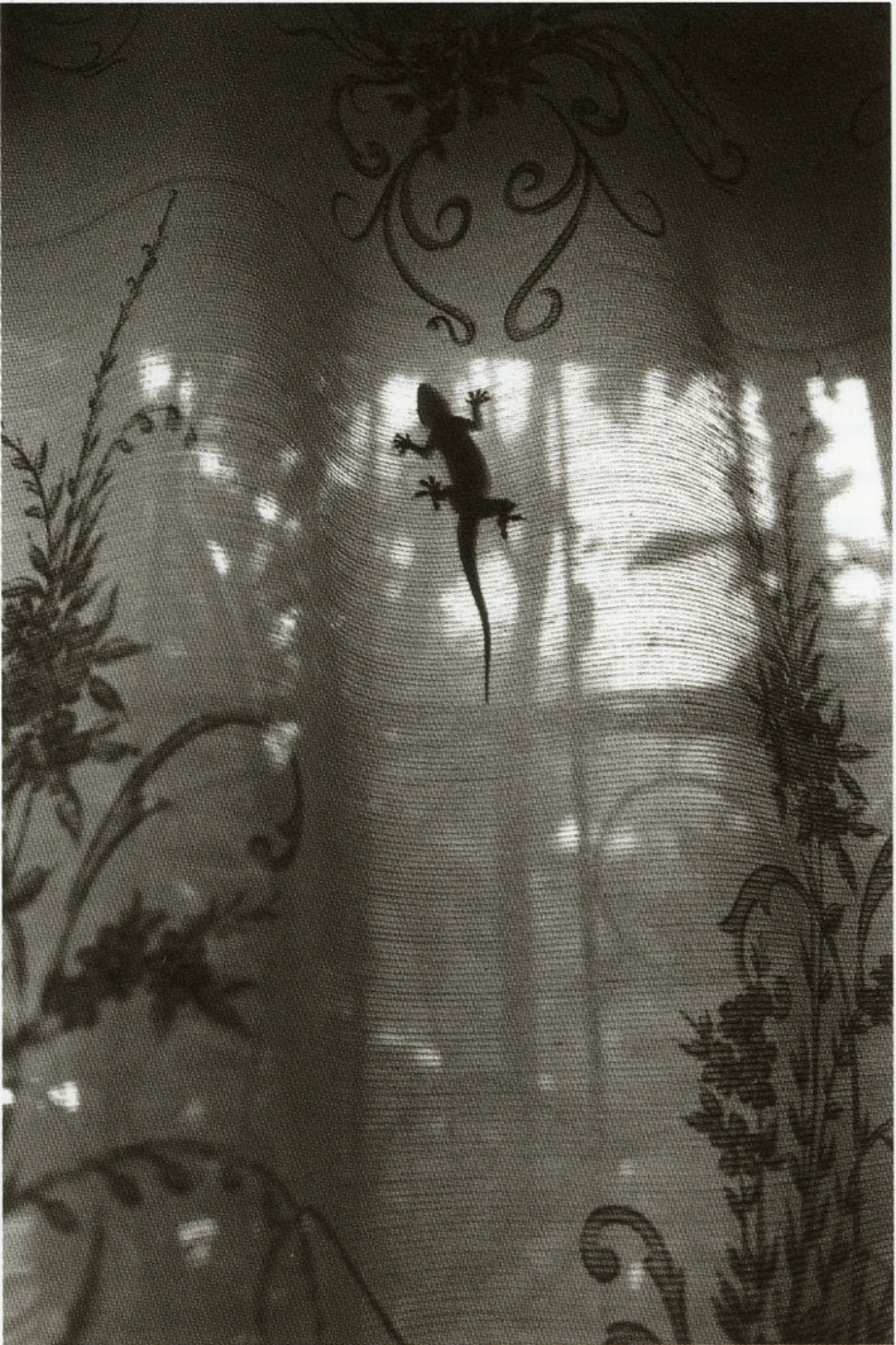 Afrique Fantôme n°11