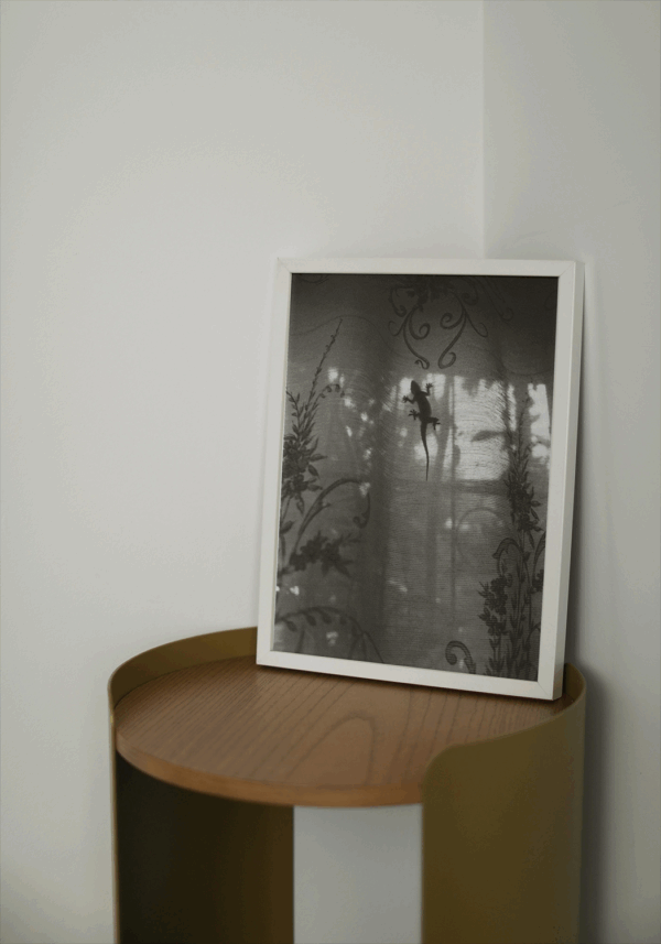 Afrique Fantôme n°11 – Image 2
