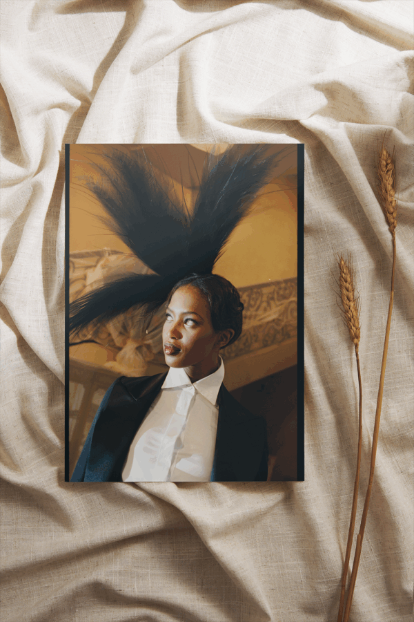 Mode n°33 – Image 2