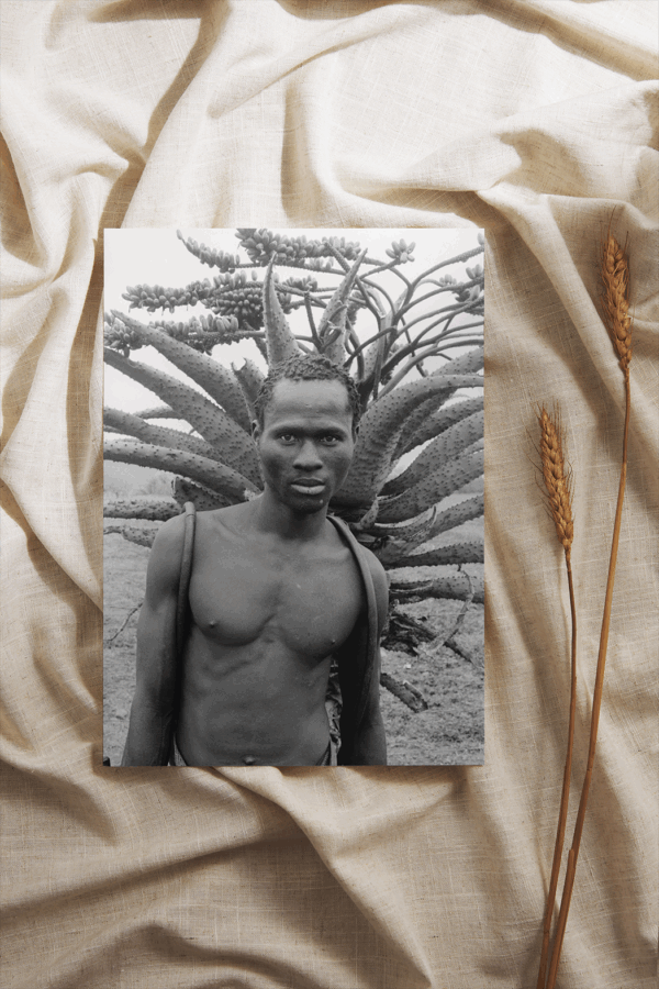 Durban n°05 – Image 2